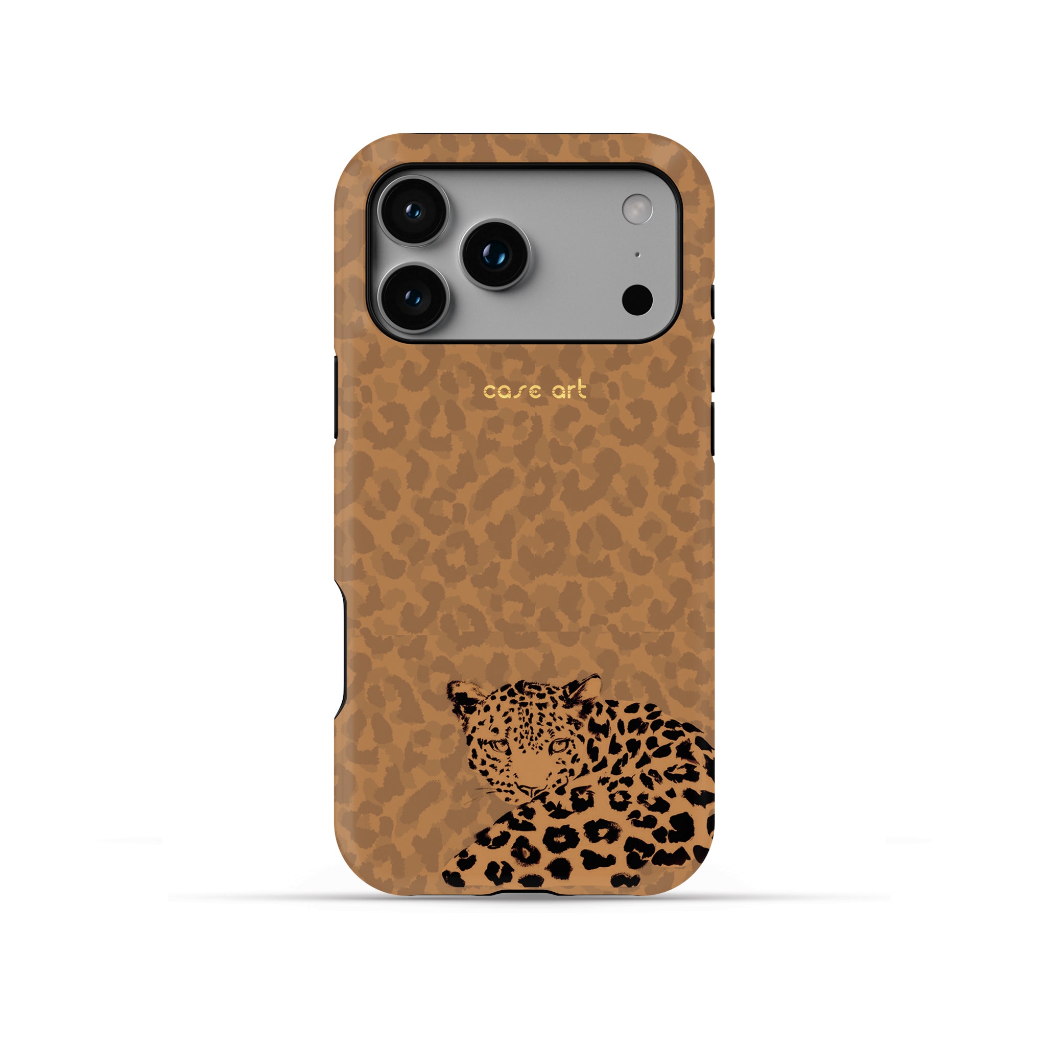 The Arabian Leopard