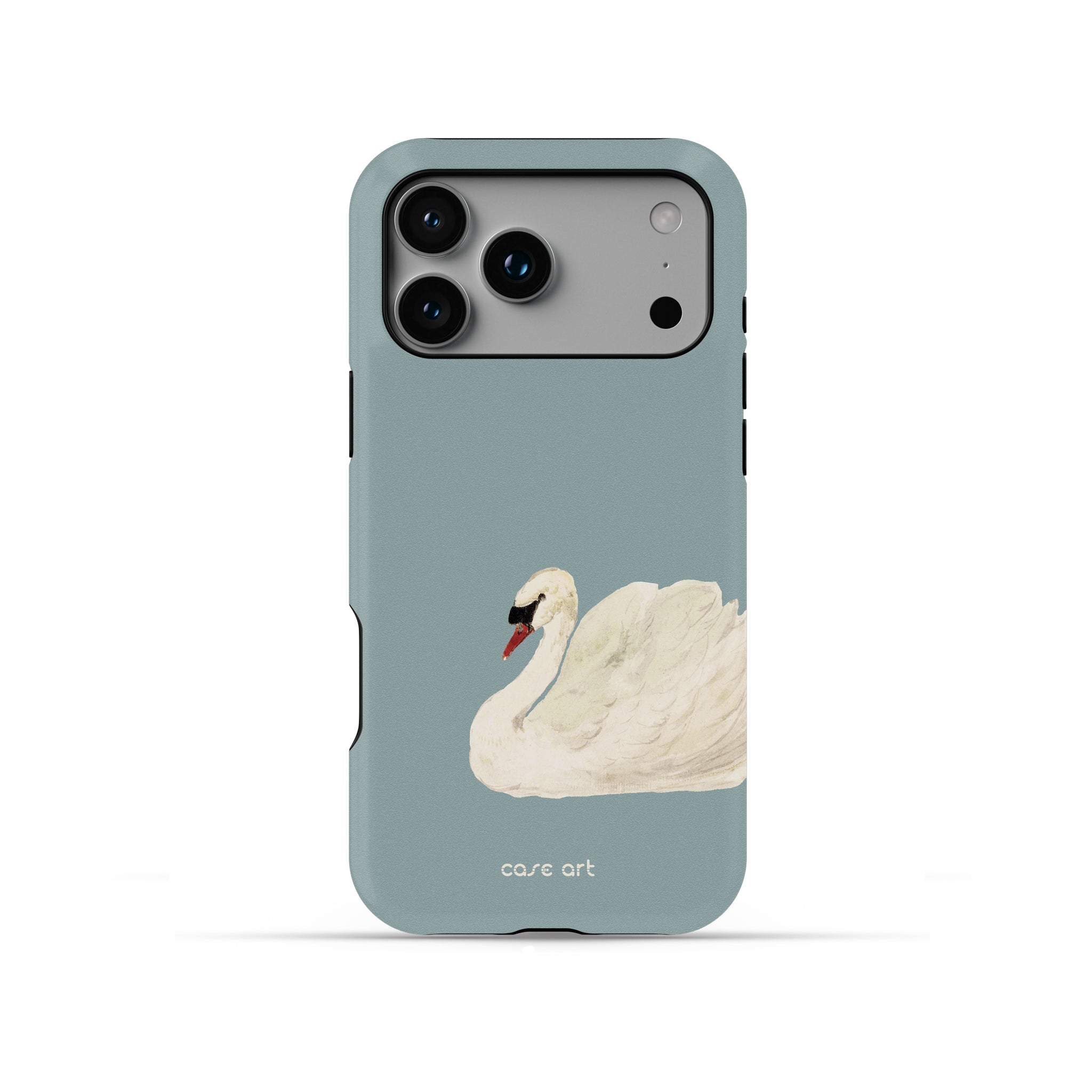 Swan Hour